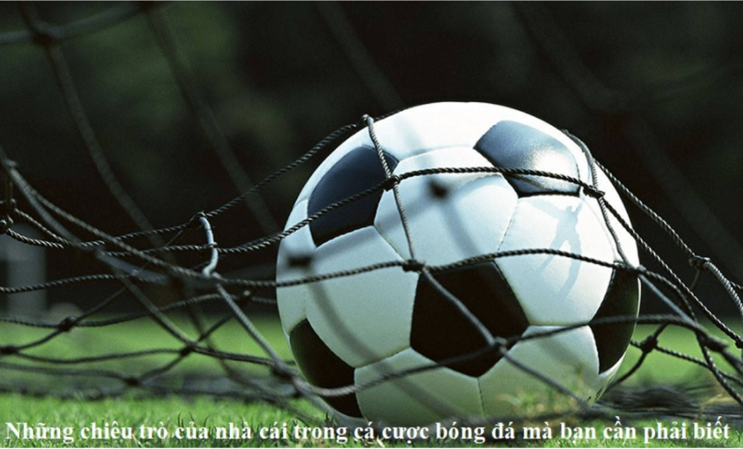 Giới thiệu chung về trang cá bóng đá